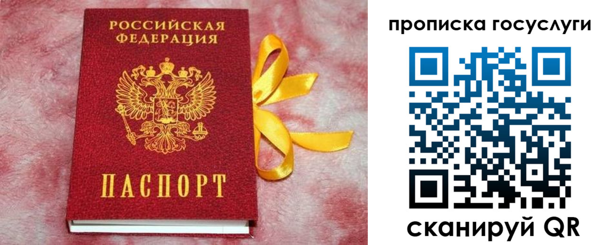 прописка законно в Старой Руссе